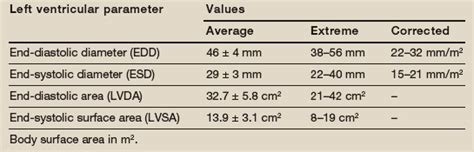 normal lv end systolic dimension